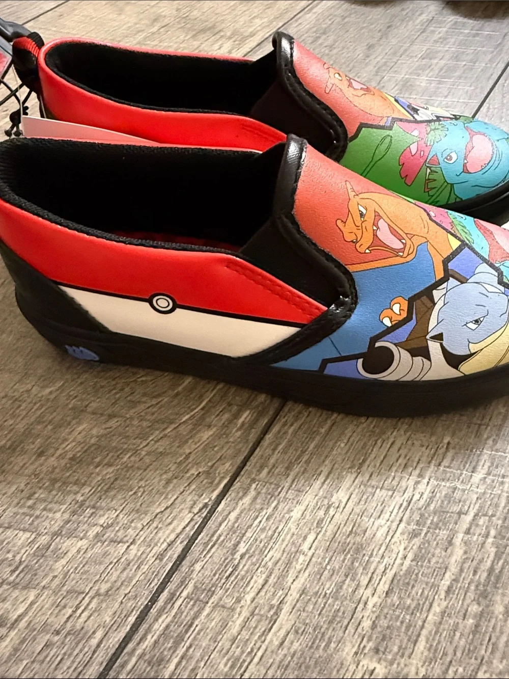 Pokemon colorful slip